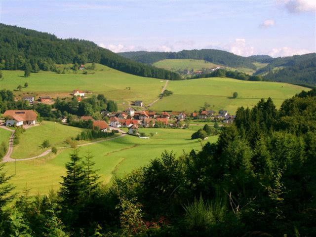 Hirschen-Dorfmuehle Biederbach Exterior foto